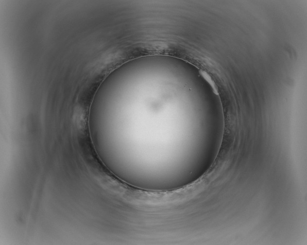 X0000112180037200908071336