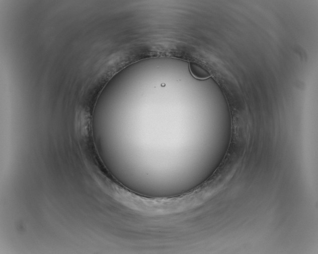 X0000112180038200908071336