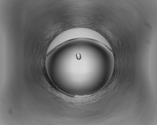 X0000112180039200908071336