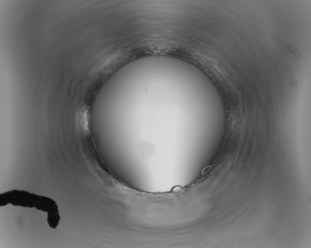 X0000112180042200908071335