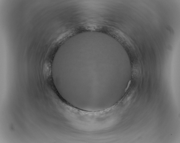 X0000112180043200908071335