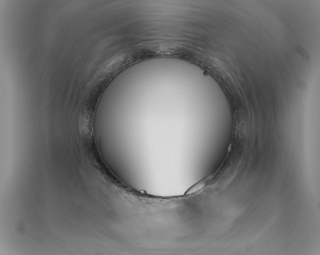 X0000112180044200908071335