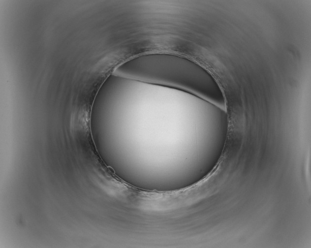 X0000112180045200908071335