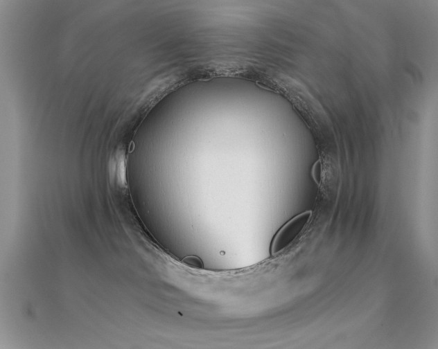 X0000112180046200908071335