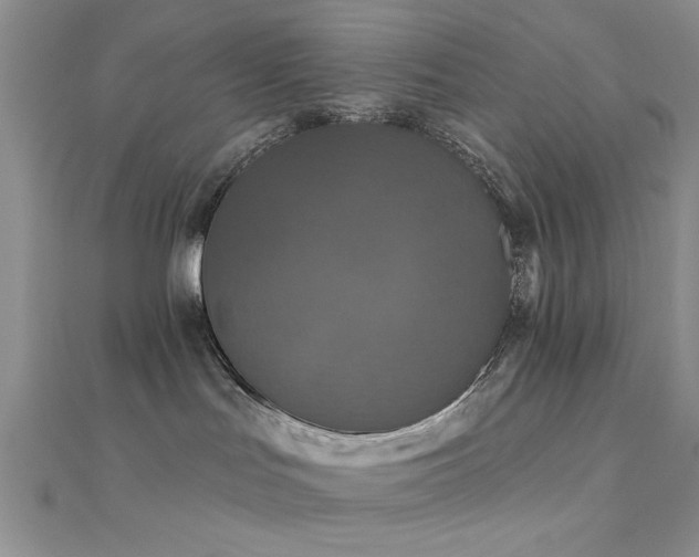 X0000112180047200908071335