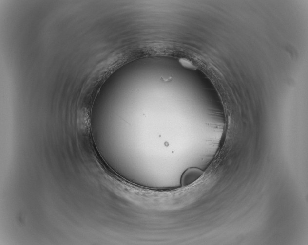 X0000112180048200908071335