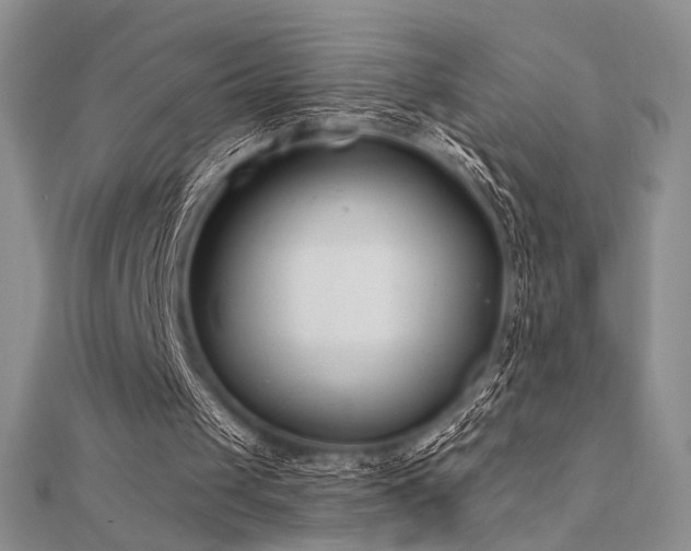 X0000112180049200908071335