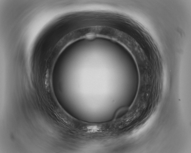 X0000112180050200908071335