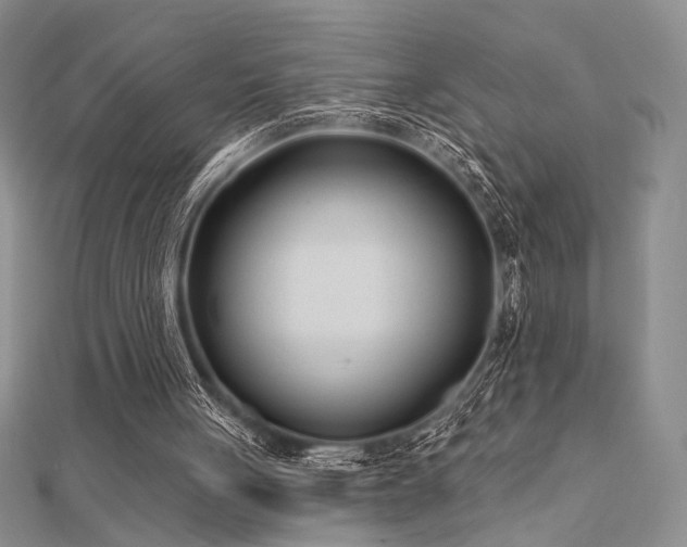 X0000112180051200908071335