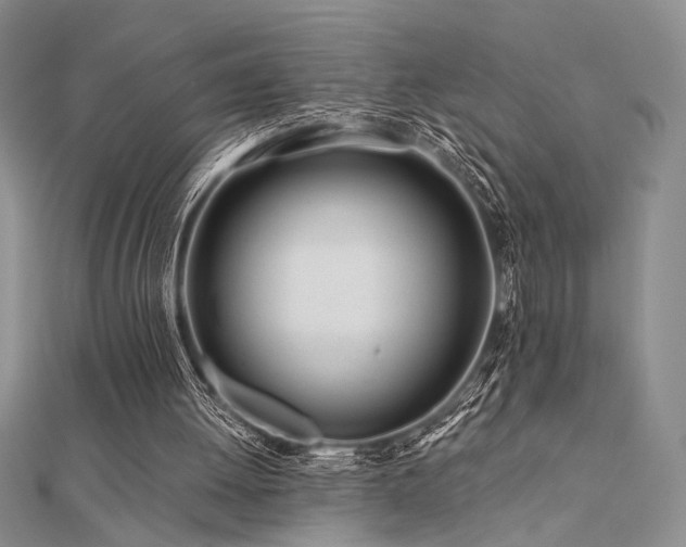 X0000112180052200908071335