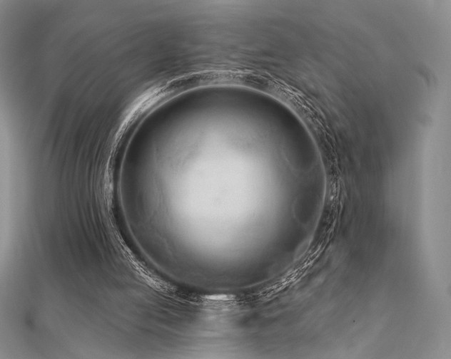 X0000112180053200908071335