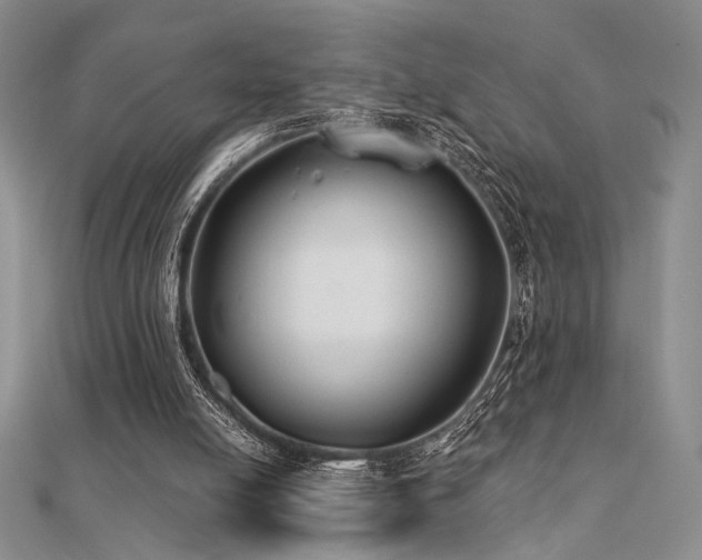 X0000112180054200908071335