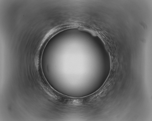 X0000112180056200908071335