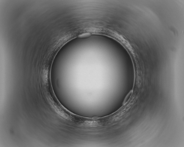 X0000112180057200908071335