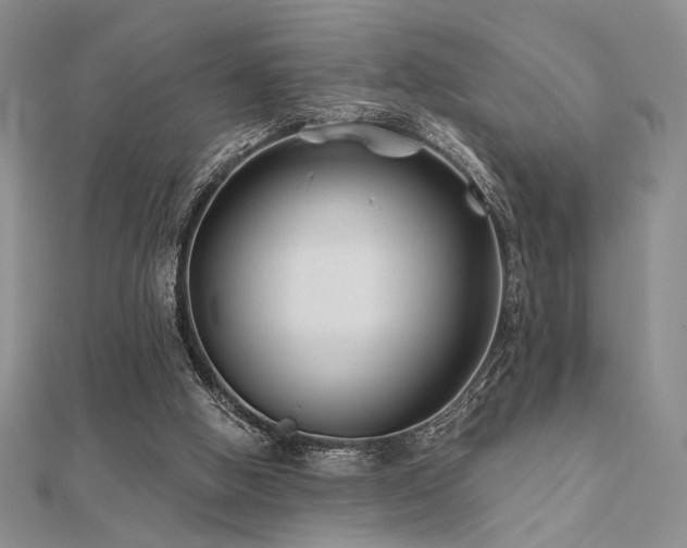 X0000112180058200908071335