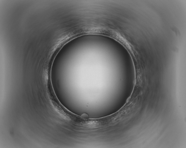 X0000112180059200908071335