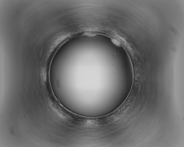 X0000112180060200908071335