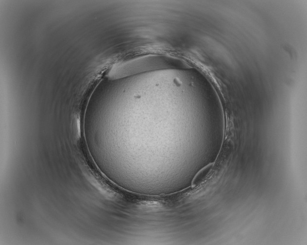 X0000112180061200908071335