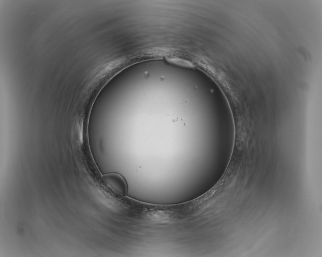 X0000112180062200908071335