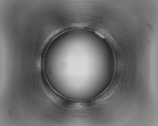 X0000112180064200908071335