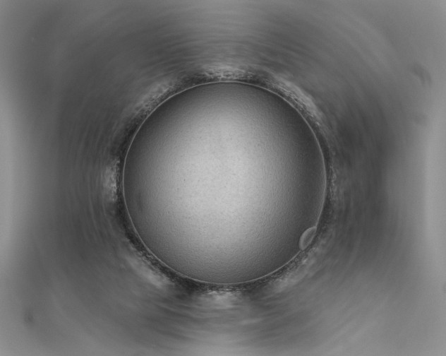 X0000112180065200908071335