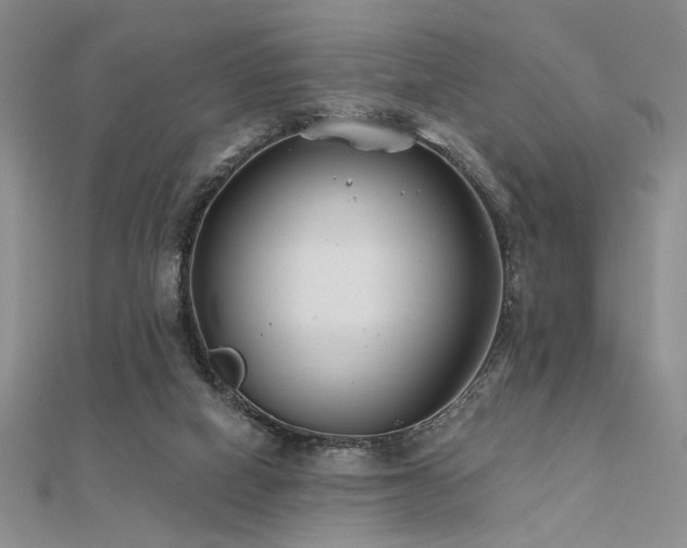 X0000112180066200908071335