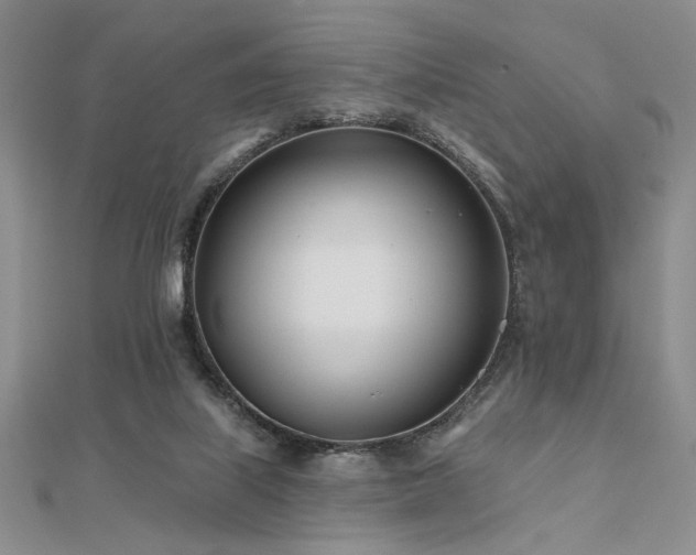 X0000112180067200908071335