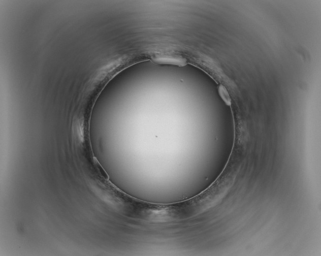 X0000112180068200908071335