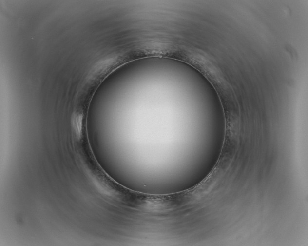 X0000112180070200908071335