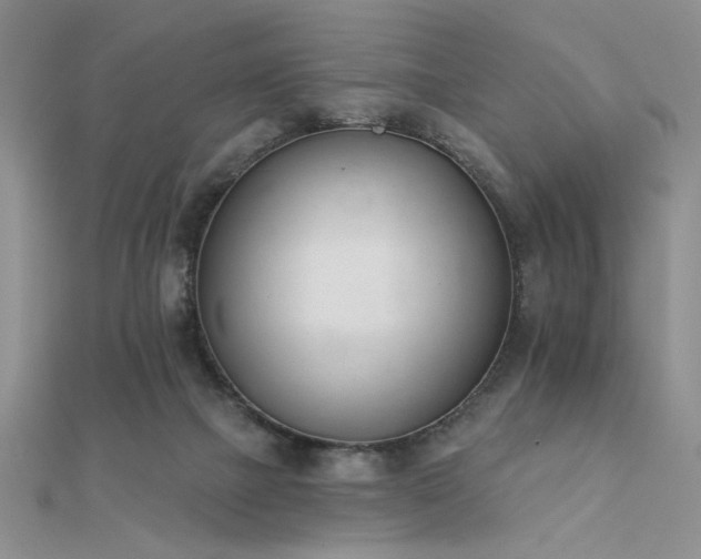 X0000112180073200908071335