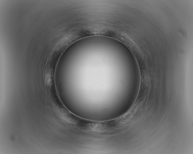 X0000112180074200908071335