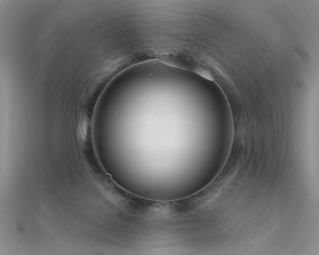 X0000112180076200908071335