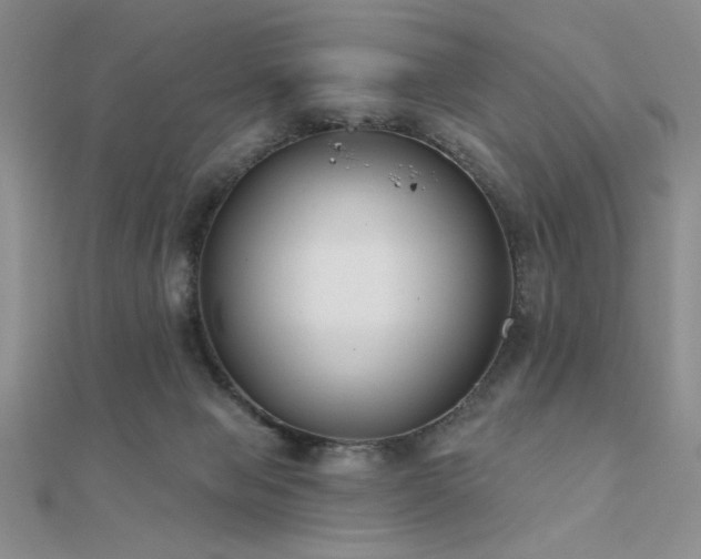 X0000112180077200908071335