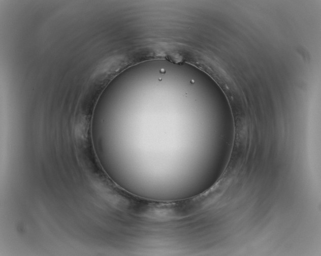 X0000112180078200908071335