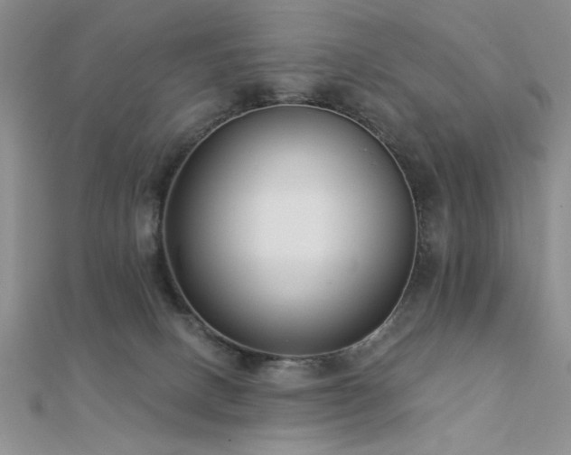 X0000112180082200908071335