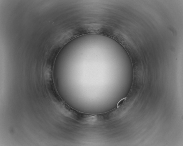 X0000112180083200908071335