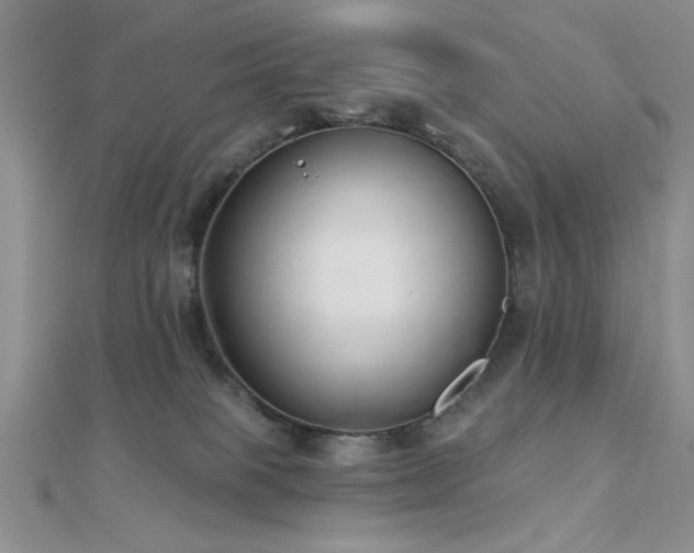 X0000112180085200908071335