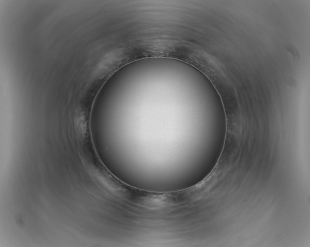 X0000112180086200908071335