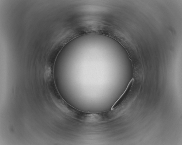 X0000112180087200908071335