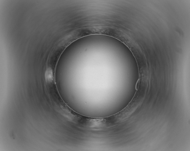 X0000112180089200908071335