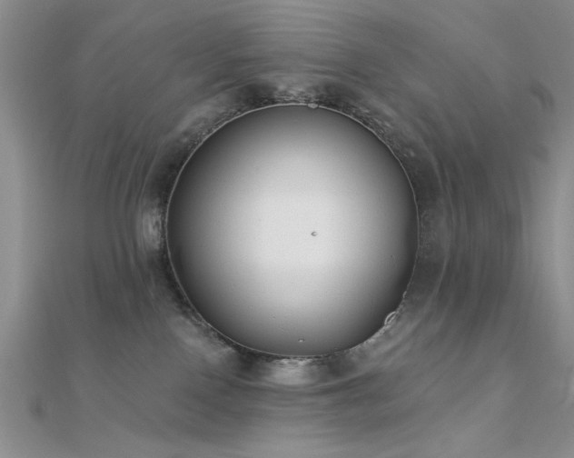 X0000112180090200908071335