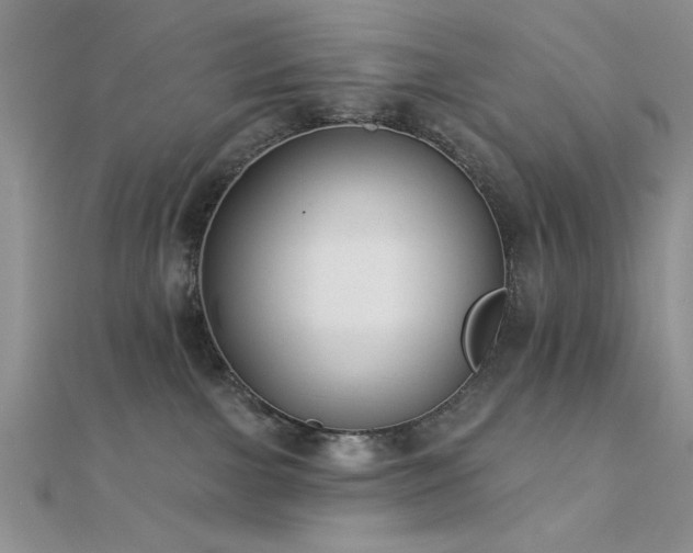 X0000112180091200908071335