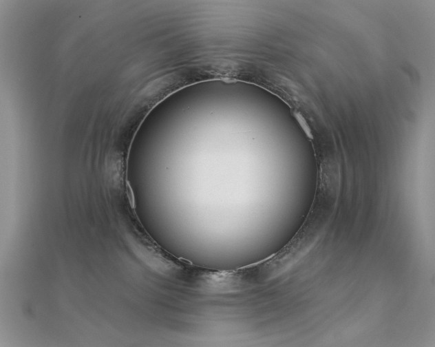 X0000112180092200908071335