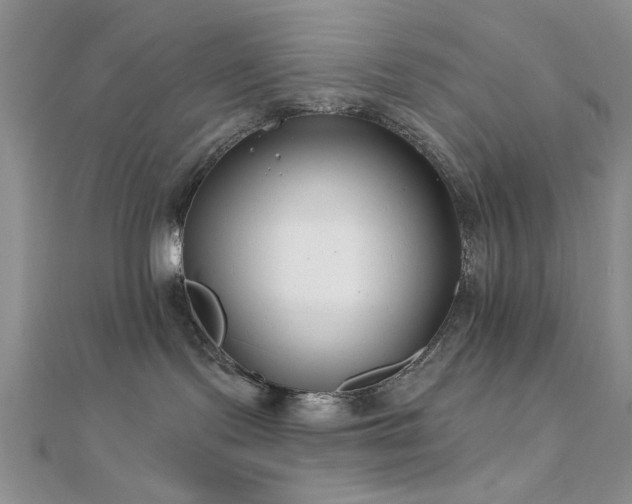 X0000112180095200908071335