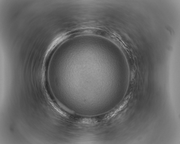 X0000112180101200908071335