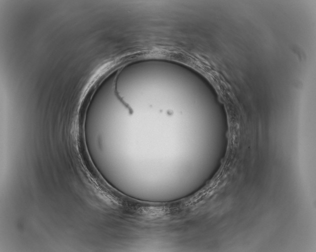 X0000112180102200908071335