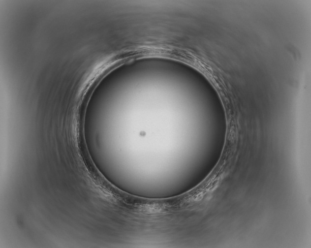 X0000112180103200908071335