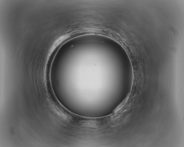 X0000112180104200908071335