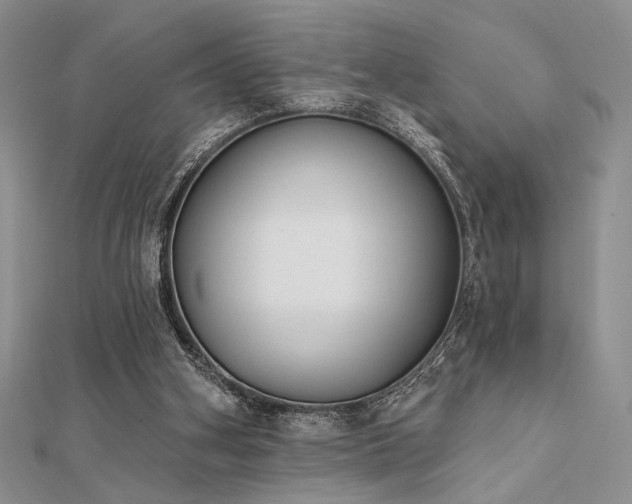 X0000112180106200908071335