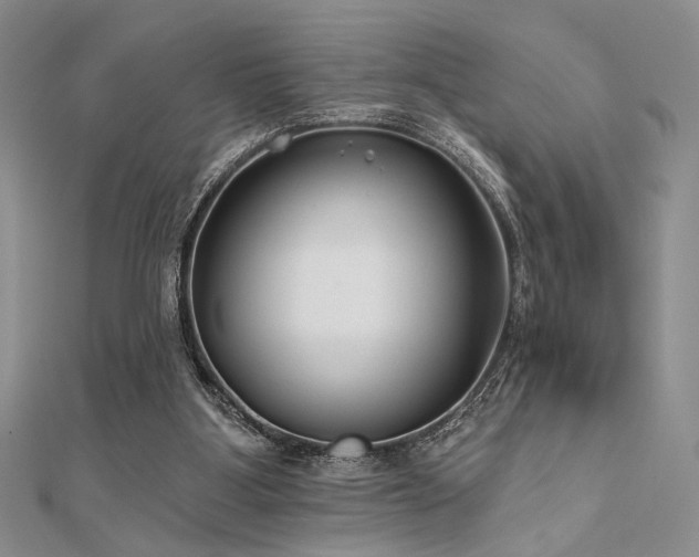 X0000112180107200908071335